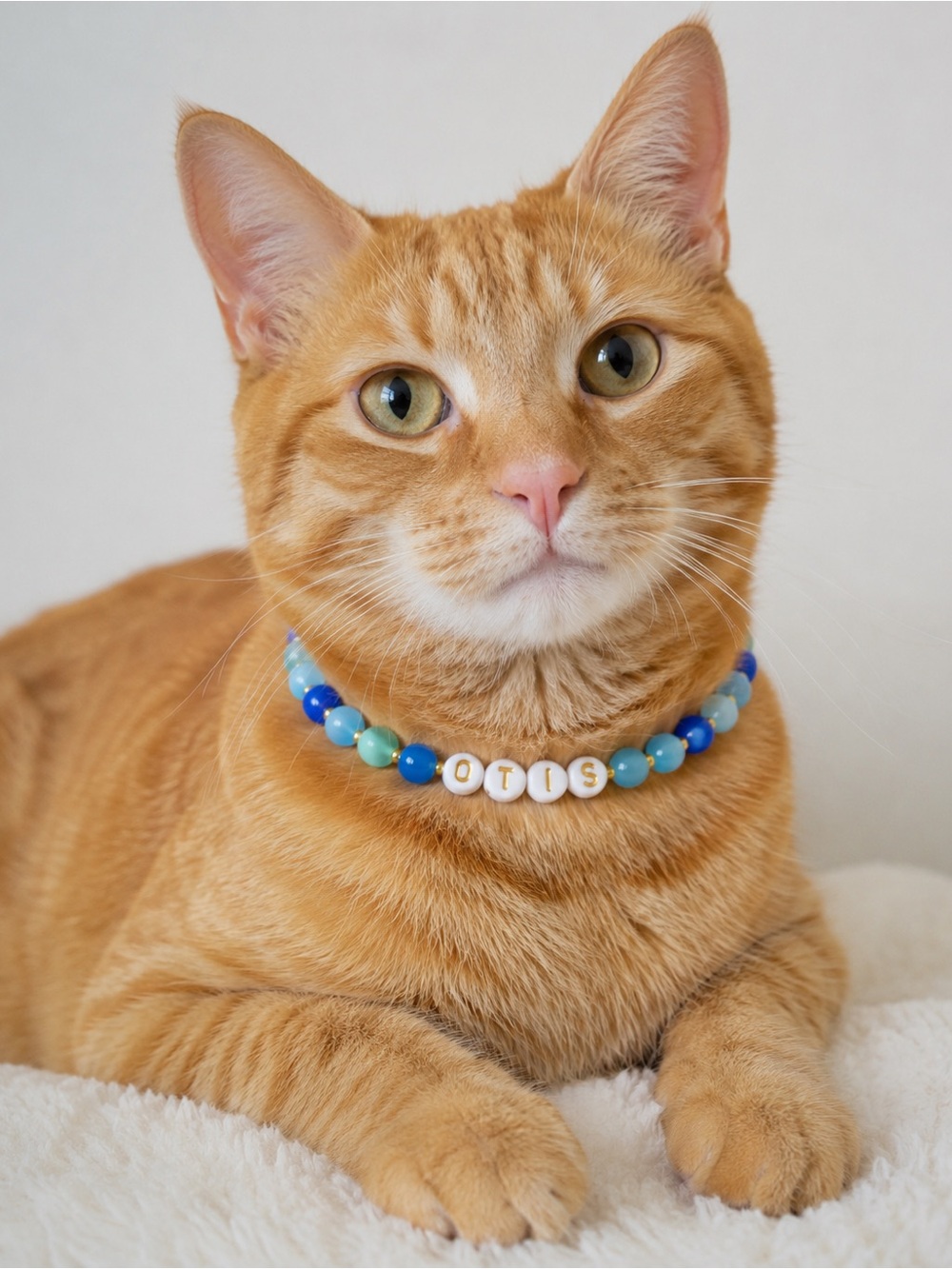 Otis Blue & Aqua Stretch Beaded Cat Collar 9”
